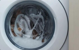 Paltaruyanda qənaətli yuma sirləri: Ən &ccedil;ox edilən səhvlər