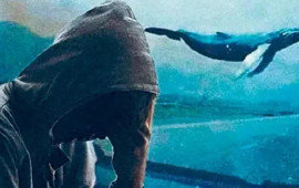 &ldquo;Mavi balina&rdquo;: səssiz dağıdıcı maşın. Hər bir valideynin