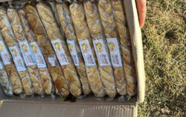 &Ouml;zbəkistandan Azərbaycana gətirilən bu məhsullarda g&ouml;bələk kifi aşkarlandı