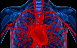 Alimlər xəstənin &ouml;z h&uuml;ceyrələrindən damar hazırladı