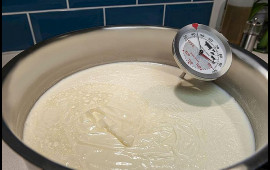 Evdə qatıq mayası yoxdursa, nə etməli?