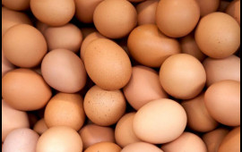 Yumurtanı soyuducuda tərs saxlayın  G&ouml;r&uuml;n nə olacaq