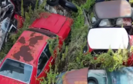 Tərk edilmiş l&uuml;ks avtomobil salonu TAPILDI: nadir modellər heyrət doğurdu 