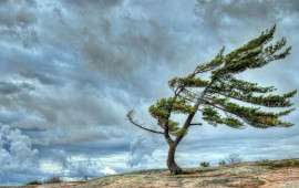 Sabah duman olacaq, külək əsəcək