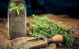 Kəklikotunun FAYDALARI