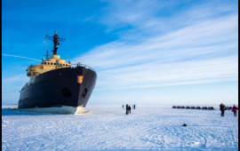 “Rusiyada 48 ədəddir, bizdə 1, gülünc vəziyyətdir"