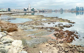 Xəzərin geri &ccedil;əkilməsi hər sahəyə təsir etdi  Ekoloji təhl&uuml;kə yaxınlaşır?