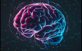 Beyin 32 yaşa qədər yeniyetmə d&ouml;vr&uuml;ndə qalırmış