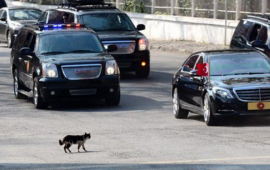 Ərdoğan bu k&ouml;rpəyə g&ouml;rə kortejini dayandırdı 