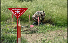 ANAMA əməkdaşı Qazaxda minaya d&uuml;şd&uuml;