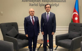 G&uuml;rsel İsmayılzadəyə yeni vəzifə verildi