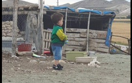 Ağcaqanad 1 yaşlı uşağın həyatını məhv etdi  6 ildir yataq xəstəsidir  FOTO
