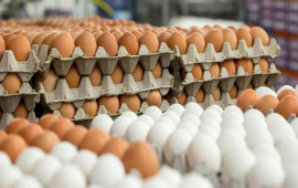 Azərbaycanda yumurtanın qiyməti bahalaşıb?  A&Ccedil;IQLAMA