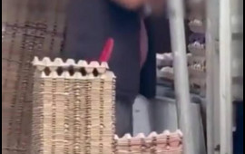 Vaxtı keçmiş yumurtaların son istifadə tarixini silən satıcı kameraya düşdü  VİDEO