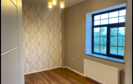 Şərqi Zəngəzur və Qarabağa qayıdış s&uuml;rətlənir