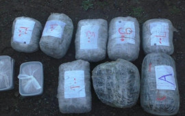 Dünən 16 kiloqramdan çox narkotik vasitə məhv edilib