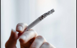 Siqaretlə bağlı məşhur mif pu&ccedil; oldu