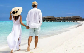 "Bal ayı"nı korlayan 1 n&ouml;mrəli SƏHV