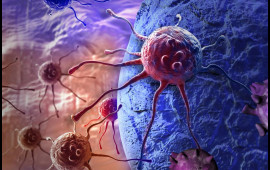 İdman edənlər xər&ccedil;əngə daha az tutulur  Araşdırma