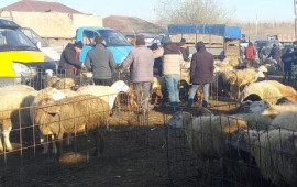 Heyvan bazarları nə vaxt a&ccedil;ılacaq?