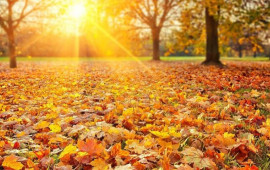 Sabah 21 dərəcə isti olacaq