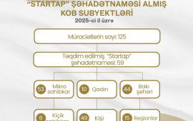 2025ci ildə 59 mikro və ki&ccedil;ik sahibkar innovativ layihələr &uuml;zrə vergi g&uuml;zəştləri əldə edib