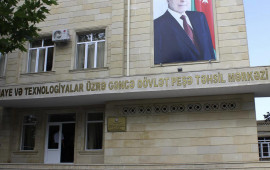 Tələbənin vəfatı ilə bağlı d&ouml;vlət qurumları araşdırmaya başladı