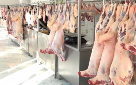 Bu bazarın fəaliyyəti dayandırıldı