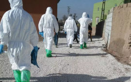 T&uuml;rkiyədə virusa g&ouml;rə 11 kənd karantinə alındı