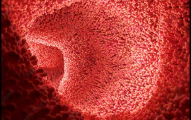 Orqan qədər vacibdir  Balans pozulanda xəstəliklər ağır yaranır