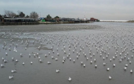 T&uuml;rkiyədə hamı bu g&ouml;r&uuml;nt&uuml;lərdən DANIŞIR 
