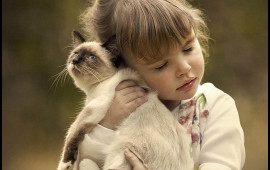 Bu 3 B&uuml;rc pişiklərlə eyni enerjidən qidalanırlar