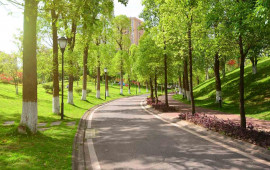 Azərbaycanda yeni park salınır  FOTO