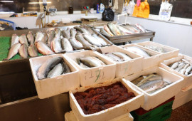 &ldquo;NəzrinE&rdquo; MMCdə ciddi n&ouml;qsanlar aşkarlanıb