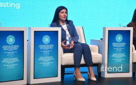 Trend və DHA agentlikləri s&uuml;ni intellekt əsaslı rəqəmsal platformaya TDT və D8 &ouml;lkələrinin mediasını dəvət edir  Sevil Mikayılova