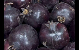 Göyçaydakı “qara nar” hər kəsi təəccübləndirdi