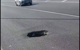 Aeroport yolunda təhl&uuml;kəli vəziyyət  FOTO