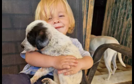 Balacalıqdan b&ouml;y&uuml;td&uuml;kləri pitbul 2 yaşındaki uşaqlarını &ouml;ld&uuml;rd&uuml;  FOTO