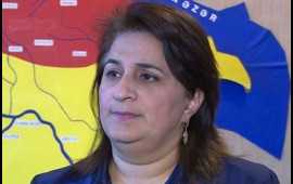 Qarlı hava nə vaxta qədər davam edəcək?  G&uuml;lşad Məmmədovadan A&Ccedil;IQLAMA