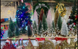 50 manatdan 3000 manatadək...  Şam ağaclarının qiymətləri kəskin artır