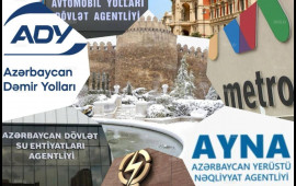 Qurumlar qışa necə hazırlaşır?  A&ccedil;ıqlama