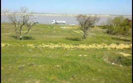 Torpağa g&ouml;rə əmisi oğlunu bı&ccedil;aqladı 