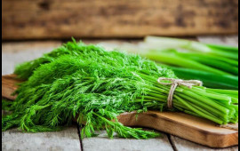 D&uuml;nyanın ən sağlam qidası ş&uuml;y&uuml;d imiş... 