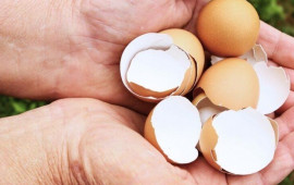 Yumurta qabıqlarını atmayın: B&ouml;y&uuml;k xərcdən xilas olun