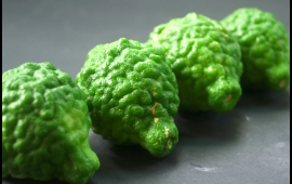 &Ccedil;ay deyil, meyvədir