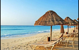 &Ccedil;imərlikdə 5 yaşlı oğlan naməlum məxluq tapdı 