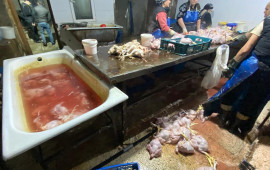 &ldquo;Kənd toyuqları&rdquo;nı bu vannalarda &ldquo;istehsal edirmişlər&rdquo; 