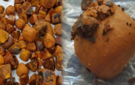 İnəkdən &ccedil;ıxan xəzinə: Tapan varlanır, qiyməti qızılı ikiqat &uuml;stələyir