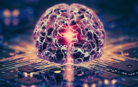 Əsl insan beynindən hazırlanan komp&uuml;terlər gəlir