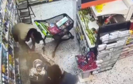 Bakıda ailədən qeyriadi oğurluq  Aldıqları ətləri uşaq arabasına yığıb apardılar 